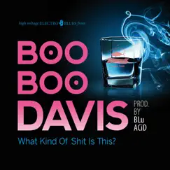 What Kind of Shit Is This? by Boo Boo Davis album reviews, ratings, credits