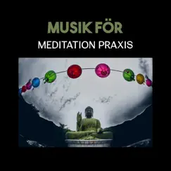 Musik för meditation praxis - Orientalisk musik för yogaklass, stressavlastning och djup meditation, låter terapi för avkoppling by Yoga Terapi Samling album reviews, ratings, credits