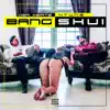 Bang Shui album lyrics, reviews, download