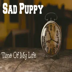 Time of My Life - Single by Sad Puppy album reviews, ratings, credits