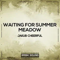 Waiting for Summer / Meadow - Single by Jakub Cheerful album reviews, ratings, credits