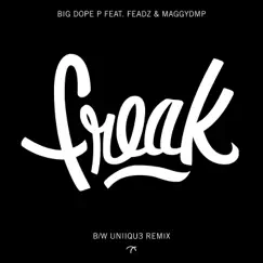 Freak (feat. Feadz & MaggyDMP) [UNiiQU3 Remix] Song Lyrics