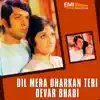 Kya Hai Jo Pyar (From "Dil Mera Dharkan Teri") [Duet] song lyrics