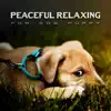 Peaceful Relaxing for Dog Puppy: 30 New Age Music & Serene Nature Sounds for Your Pet, Calm Down When They Stay Alone, Soft Melodies album lyrics, reviews, download