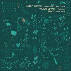 Second Chapter - Single by Runy, Viktor Udvari & Marko Nastic album reviews, ratings, credits