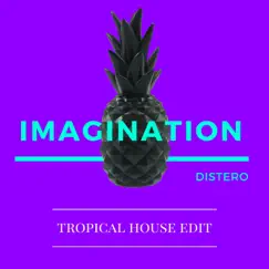 Imagination (Tropical House Edit) Song Lyrics