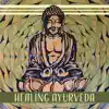 Healing Ayurveda: Mind & Body, Qi Gong, Tranquil New Age Liquid Music, Meditation & Yoga, Inner Power, Soul Connection album lyrics, reviews, download