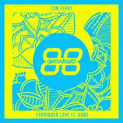 Forbidden Love (Radio Edit) Song Lyrics