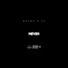 Never - Single album lyrics, reviews, download