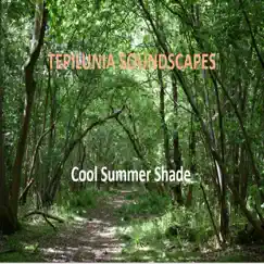 Cool Summer Shade - Single by Tepilunia Soundscapes album reviews, ratings, credits