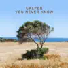You Never Know (Laibert Sunset Mix) - Single album lyrics, reviews, download