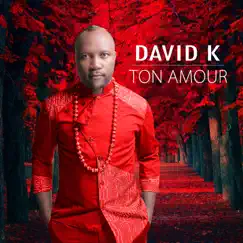 Ton Amour - Single by David K album reviews, ratings, credits