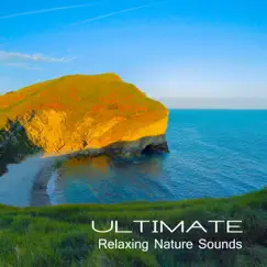 Ultimate Relaxing Nature Sounds: Zen Relaxation After Long Day, Loving Kindness Meditation Background by Serenity Nature Sounds Academy album reviews, ratings, credits