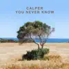 You Never Know (Laibert Sunset Mix) - Single album lyrics, reviews, download