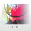 Sleep Spirit: Relaxing Music to Deep Sleep, Soothing Nature Sounds, Natural Cure for Insomnia & Trouble Sleeping album lyrics, reviews, download