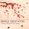 Simple Meditation - Calming Tao Sounds for Therapy, Healing Sound for Therapeutic Touch album lyrics, reviews, download