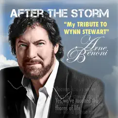 After the Storm Song Lyrics