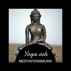 Yoga och meditationsmusik - De bästa avkopplande spåren med naturens ljud, stressavlastning, kroppsövningar by Yoga Terapi Samling album reviews, ratings, credits