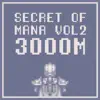Secret of Mana, Vol. 2 album lyrics, reviews, download