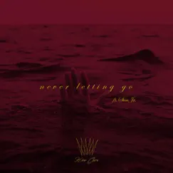 Never Letting Go (feat. Stan Jr.) - Single by King Chav album reviews, ratings, credits