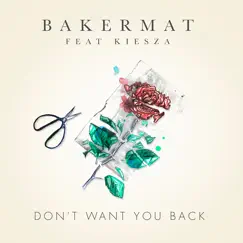 Don't Want You Back (feat. Kiesza) Song Lyrics