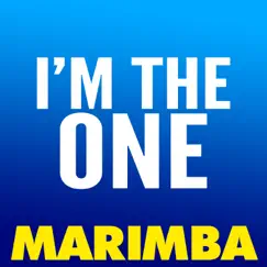 I'm the One (Marimba Remix) - Single by The Marimba Squad album reviews, ratings, credits