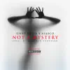 Not a Mystery - Single album lyrics, reviews, download