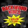 Backwood Vibes (feat. Kejohn) - Single album lyrics, reviews, download