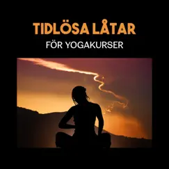 Tidlösa låtar för yogakurser – New age instrumental musik för andlig balans och harmoni, upplev meditationen by Yoga Terapi Samling album reviews, ratings, credits