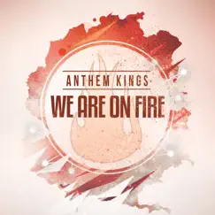 We Are on Fire (Radio Edit) Song Lyrics