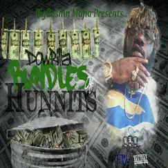 Bundles of Hunnits - Single by Dowrilla album reviews, ratings, credits