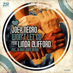 Won't Let Go (Joey Negro Club Mix) Song Lyrics
