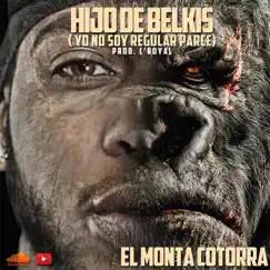 Hijo de Belkis (Yo No Soy Regular Parce) - Single by El Monta Cotorra album reviews, ratings, credits
