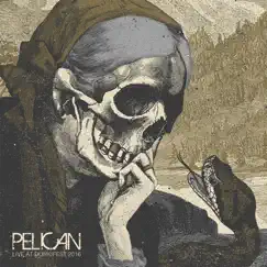 Live at Dunk!Fest 2016 by Pelican album reviews, ratings, credits