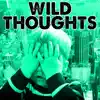 Wild Thoughts (Instrumental) song lyrics