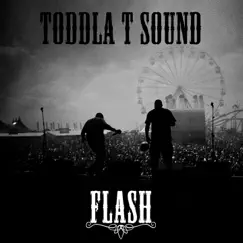 Flash - Single by Toddla T album reviews, ratings, credits