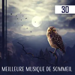 Meilleure musique de sommeil Song Lyrics