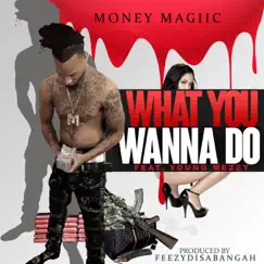 What You Wanna Do (feat. Young Mezzy) - Single by Money Magiic album reviews, ratings, credits