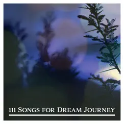 Songs for Dream Journey Song Lyrics