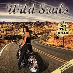 On the Road by Wild Souls album reviews, ratings, credits