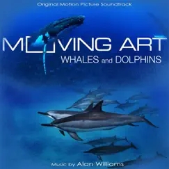 Dolphins and Whales Song Lyrics