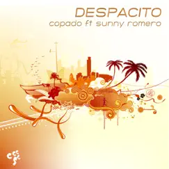 Despacito (feat. Sunny Romero) [Drum Loop Beats Drumbeats Mix] Song Lyrics