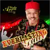 Everlasting Grace album lyrics, reviews, download