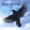 Blackbird (feat. Ed Thigpen) album lyrics, reviews, download