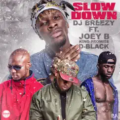 Slow Down (feat. D-Black, Joey B & King Promise) - Single by DJ Breezy album reviews, ratings, credits