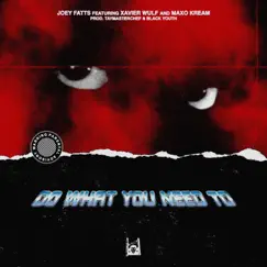 Do What You Need To (feat. Xavier Wulf & Maxo Kream) - Single by Joey Fatts album reviews, ratings, credits