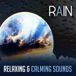 Rain: Relaxing & Calming Sounds – Healing Music for Deep Sleep, Relaxation & Reduce Stress, Universal Therapy by Water Music Oasis album reviews, ratings, credits