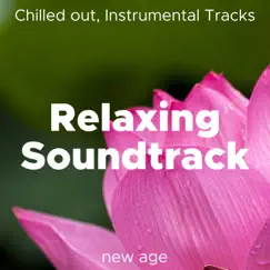Relaxing Soundtrack - Chilled out, Instrumental Tracks with a Relaxing and Ambient feel by Equilibre Study Mind album reviews, ratings, credits
