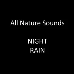 Night Rain In Sheets Song Lyrics