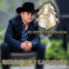 Romántico y Cachondo by El Potro de Sinaloa album reviews, ratings, credits